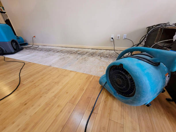Professional Water Damage Repair technician working in Sebring, FL